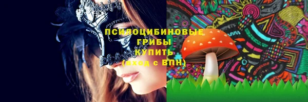гидропоника Балабаново