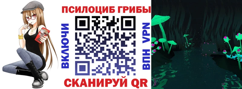 Псилоцибиновые грибы мицелий  как найти наркотики  Ногинск 